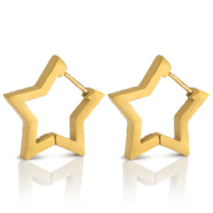 Earrings 'star'